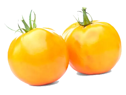 تصویر گوجه های نارنجی نرسیده با فرمت پی ان جی برای فتوشاپ
