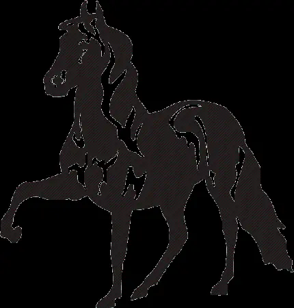 تابلو اسب دکوراتیو