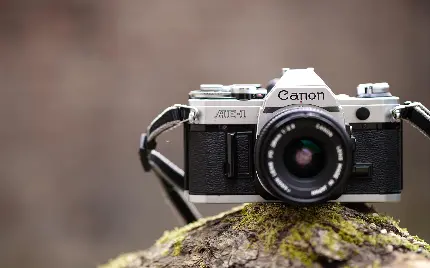 عکس دوربین Canon AE-1 با ویژگی حالت تقدم دیافراگم مناسب عکاسان آماتور و غیر حرفه ای