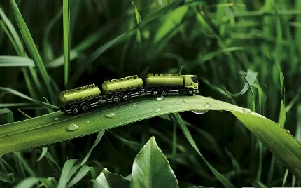 دانلود عکس والپیپر قطار مینیاتوری روی برگ گیاه 