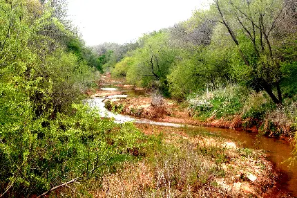 دانلود عکس طبیعت آرامشبخش جذاب و دلپذیر 