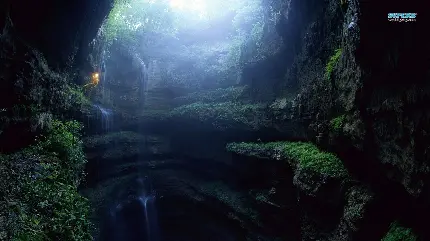 عکس استوک غار تاریک در زیر زمین و پوشش گیای خاص و زیبا 