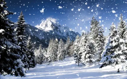 استوک بارش دانه های برف از نزدیک برای والپیپر صفحه کامپیوتر 