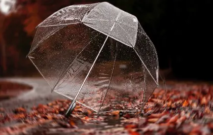 تصویر پروفایل و بک گراند رمانتیک پاییزی چتر شفاف و بی رنگ شیشه ای 