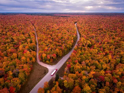 قشنگ ترین منظره و چشم انداز جاده پاییزی درختچه های زرد و نارنجی