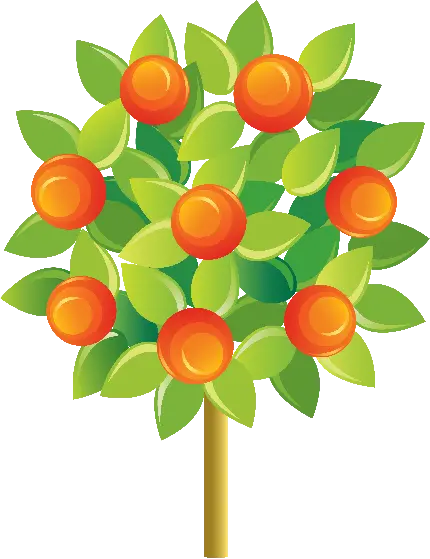 ساده ترین عکس درخت نارنگی کارتونی با کیفیت عالی png