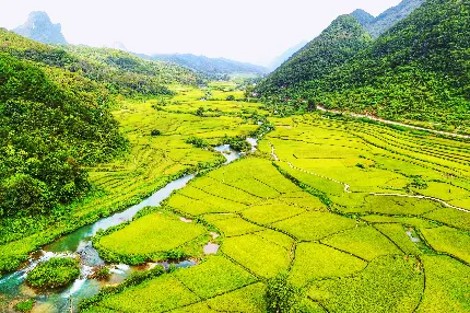 با کیفیت ترین عکس هوایی از تقسیم بندی زمین های کشاورزی روستا 