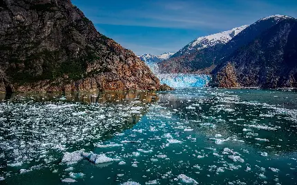 جدیدترین والپیپر سال 1403 طرح طبیعت سرسبز و خوش حس و حال 