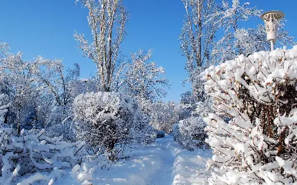 خاص ترین والپیپر فصل زمستان با طبیعت پر برف زیبا 