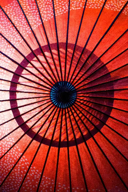 دانلود تصاویر چترهای سنتی ژاپنی به صورت رایگان از جوهره 