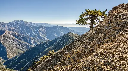 تصویر کوهستان های مرتفع در منطقه سرد و خشک خالی از گیاهان مناسب پروفایل 