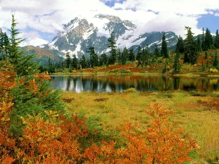 تصویر زمینه جدید دریاچه و طبیعت کوهستانی در فصل پاییز 