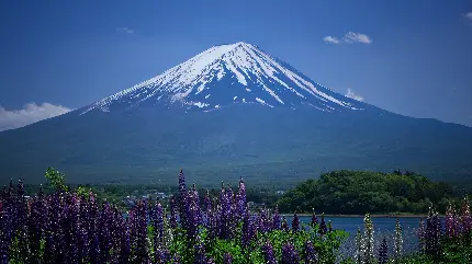 عکس فوق العاده و چشم نواز از کوه فوجی در کشور آسیایی ژاپن