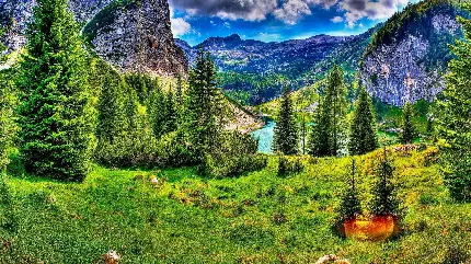 دانلود رایگان عکس زمینه طرح طبیعت سرسبز و جنگلی 
