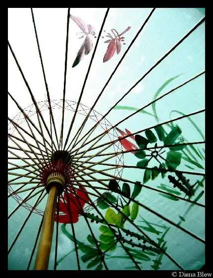 تصویر استوک از چتر ژاپنی سنتی با طرح الهام از طبیعت
