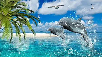 والپیپر دیجیتالی و با کیفیت پرش دلفین ها 