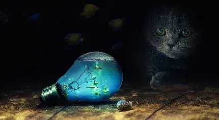 عکس PNG فتوشاپی بچه گربه زل زده به حلزون و لامپ آکواریوم کوچولو