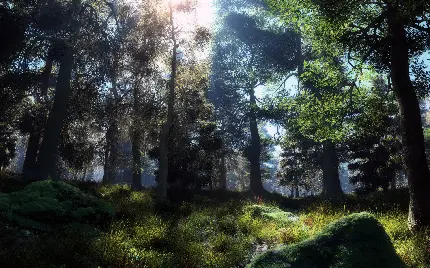 تصویر عالی از جنگل و طبیعت اچ دی برای بازی های کامپیوتری 