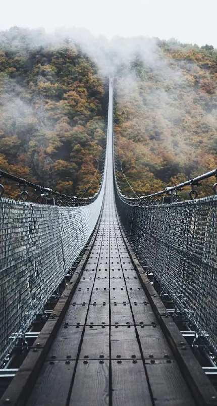 والپیپر پل معلق Geierlay برای ورود به جنگل پاییزی مه آلود