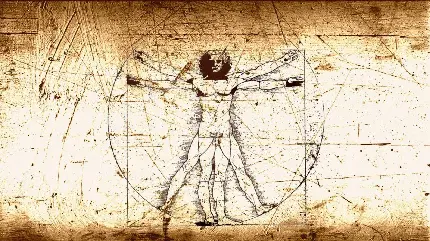 عجیب ترین نظریه و تئوری لئوناردو داوینچی هنرمند دانشمند و مخترع ایتالیایی 