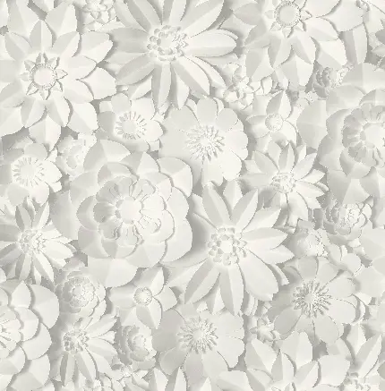 پردانلود ترین عکس فول اچ دی و رایگان طرح سه بعدی گل های سفید 