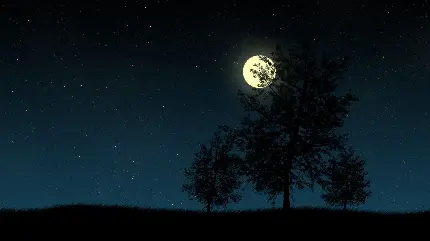 پس زمینه تک درخت تنها و آسمان تاریک شب با ماه کامل