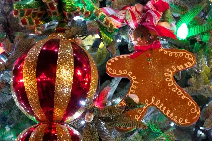 دانلود عکس خوشمزه مرد درختی و مرد بیسکوئیتی در سال نو و کریسمس 
