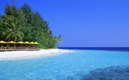عکس خیلی زیبا با منظره زیبا و تماشایی از جزایر استوایی برای گردش 