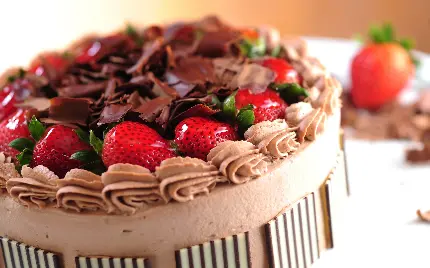 عکس دسر کیک شکلاتی یکی از انواع کیک های پر طرفدار در جهان
