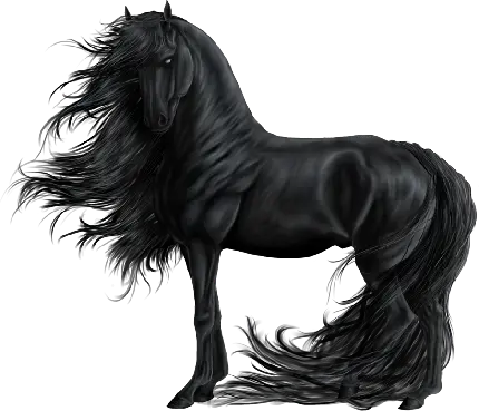 عکس جالب و دیدنی اسب سیاه با فرمت PNG دور بری شده 