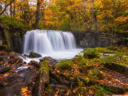 دانلود عکس منظره محشر آبشار در جنگل فصل پاییز با بهترین کیفیت 