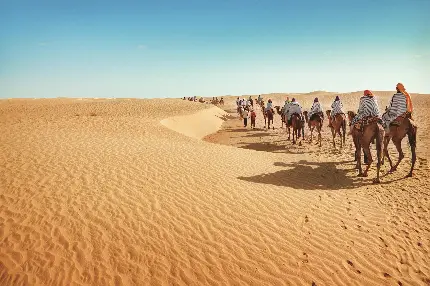 والپیپر تماشایی برای دسکتاپ ویندوز از صحرای بزرگ آفریقا 