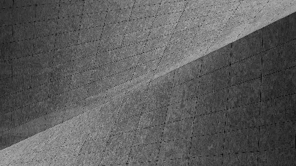 عکس طوسی برای پروفایل