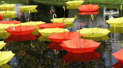 تصویر چتر های قرمز و زرد روی زمین خیس و بارانی 