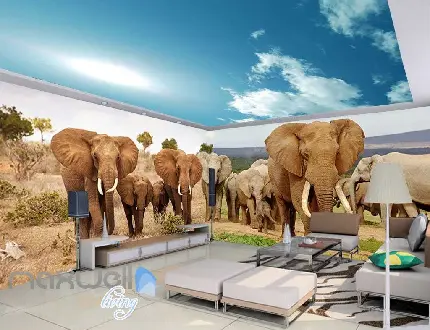 عکس استوک نقاشی های دیواری دیوار علفزارهای فیل آفریقا