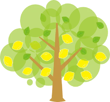 تصویر png درخت لیمو کارتونی برای کشیدن نقاشی ساده کودکانه
