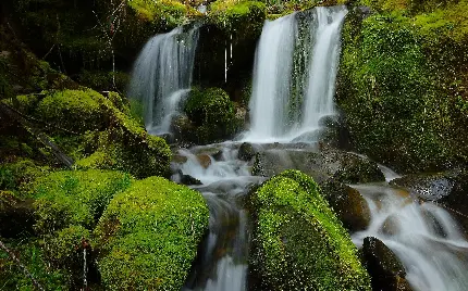 استوک شگفت انگیز و با کیفیت از منظره آبشار خروشان در طبیعت