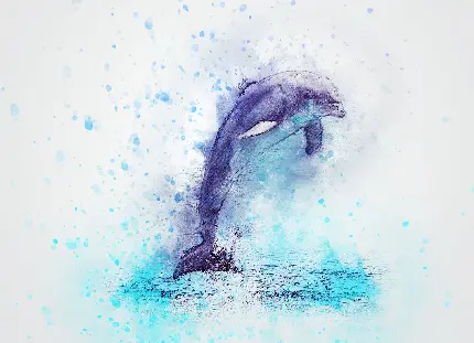 عکس نقاشی پرش دلفین در بکگراند سفید 