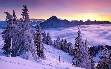 دانلود عکس بسیار زیبا و دیدنی از برف جالب با کیفیت بالا 