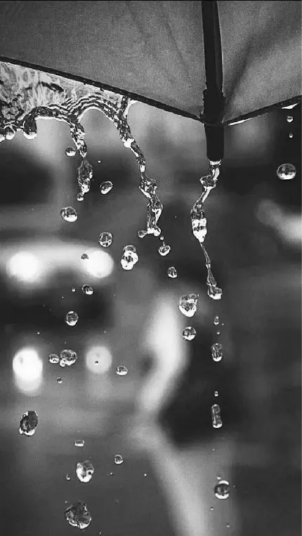 تصویر سیاه و سفید هنرمندانه و خلاقانه قطره های باران در حال چکیدن از روی چتر