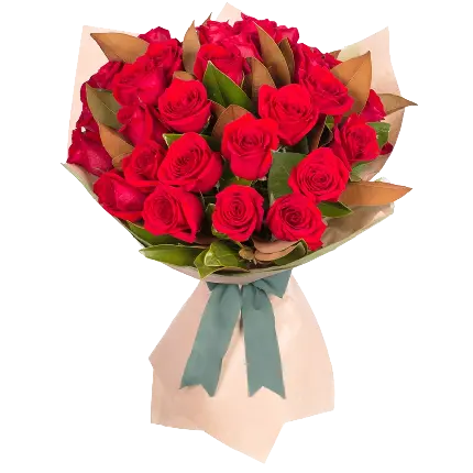 فایل png دوربری شده دسته گلهای گل رز قرمز به صورت ترانسپرنت