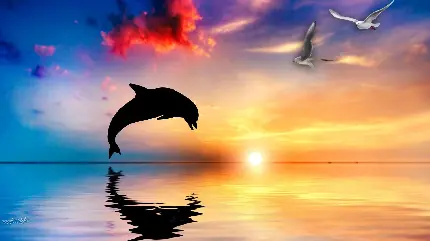 تصویر دیجیتالی پرش دلفین  در اب ها 