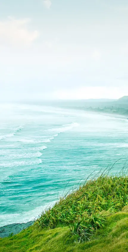 قشنگ ترین عکس چمن ساحلی سرسبز در هوای افتابی