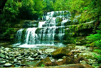 دانلود تصویر جنگلی سرسبز به همراه آبشار کم آب و شفاف 