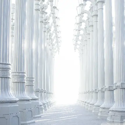 پربازدیدترین عکس معماری داخلی ستون های بلند سفید بنای بزرگ