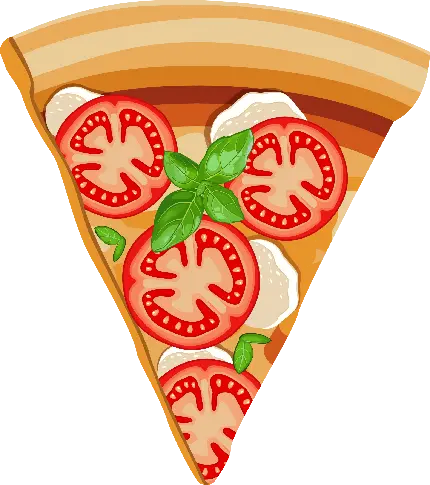 عکس کارتونی پیتزا با گوجه و برگ سبز تازه و معطر پی ان جی