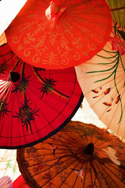 تصویر چترهای ژاپنی سنتی با طرح های متنوع برای صفحه گوشی 