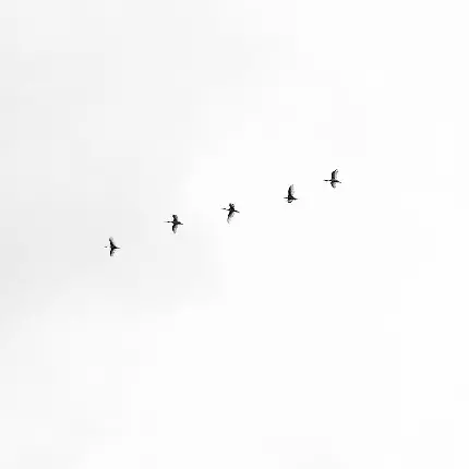 والپیپر برای تبلت با طرح جذاب پرنده های در آسمان مینیمالیستی