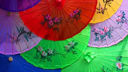 والپیپر از چترهای ژاپنی رنگی رنگی با طرح دستی گل های زیبا