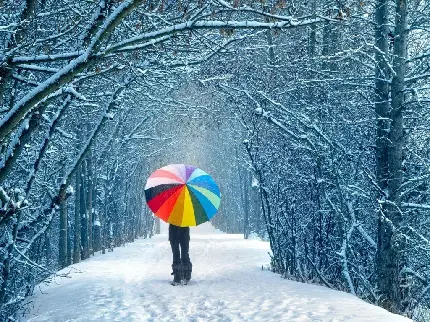 دانلود عکس پروفایل و والپیپر دختر تنها در جنگل با چتر برفی در فصل زمستان سرد 